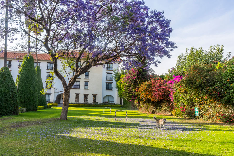 Jardines del hotel